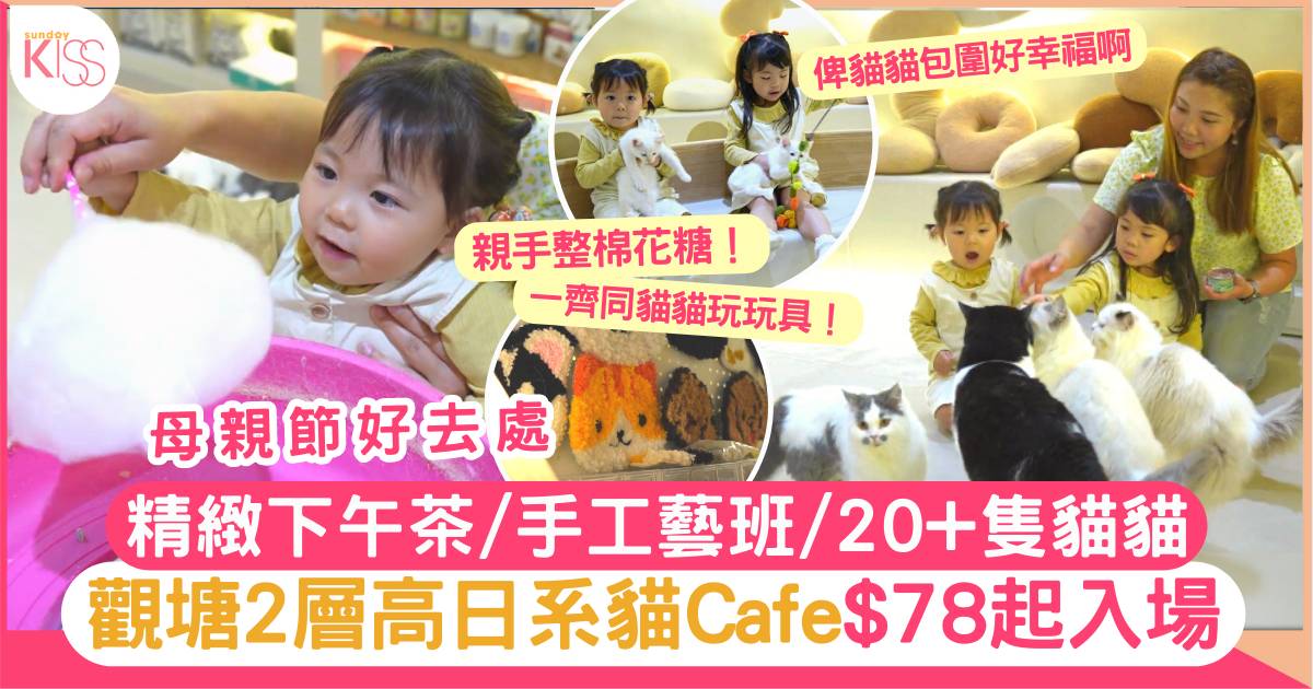 貓cafe觀塘｜日系貓cafe$78起入場 精緻甜點/手作班/20+隻貓貓