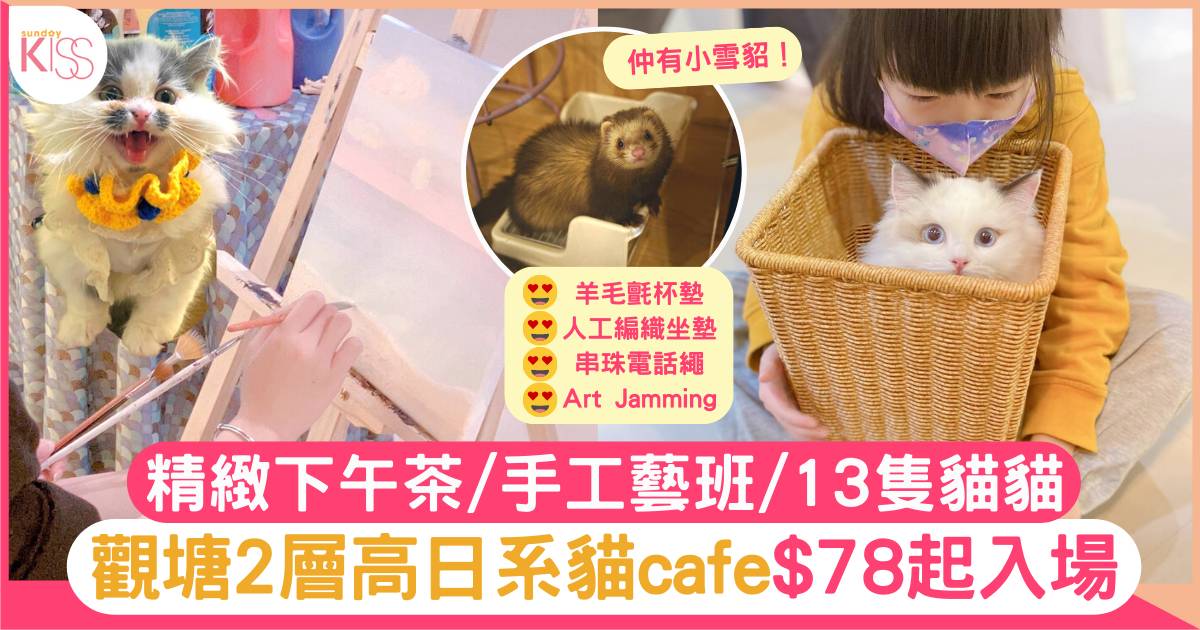 貓cafe觀塘｜日系貓cafe$78起入場 精緻甜點/手作班/13隻貓貓