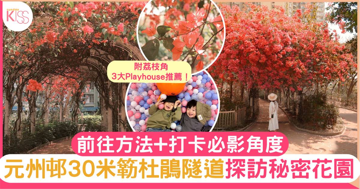 賞花2024｜元州邨30米簕杜鵑隧道探訪秘密花園 附前往方法