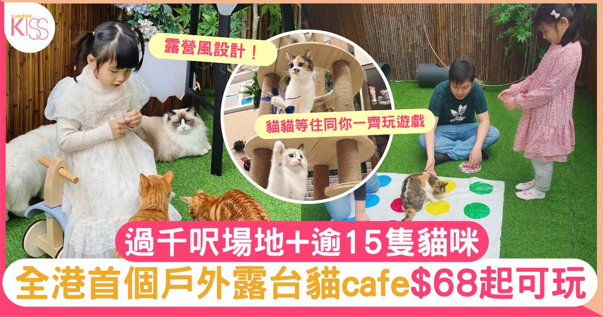 貓Cafe｜全港首個戶外露台貓cafe$68起可玩 逾15隻貓咪