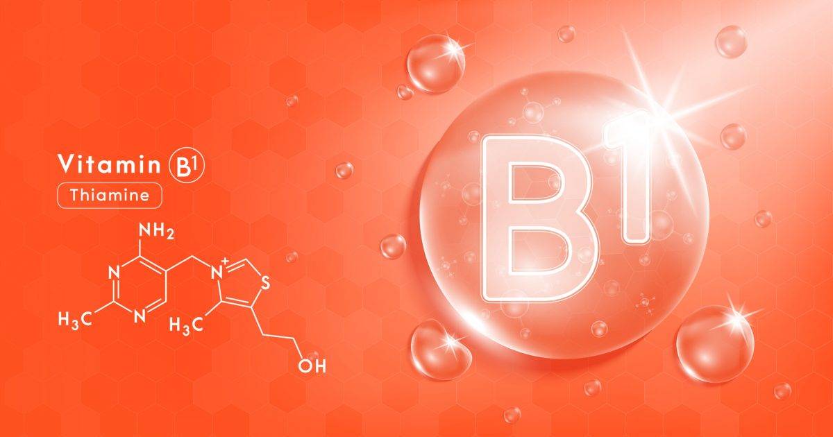 維生素B1功效｜一文了解維他命B1重要性、攝取量與食物來源