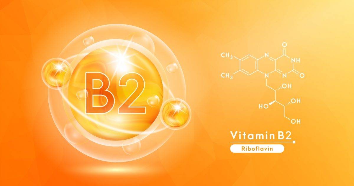 維生素B2功效｜一文了解維他命B2重要性、攝取量與食物來源