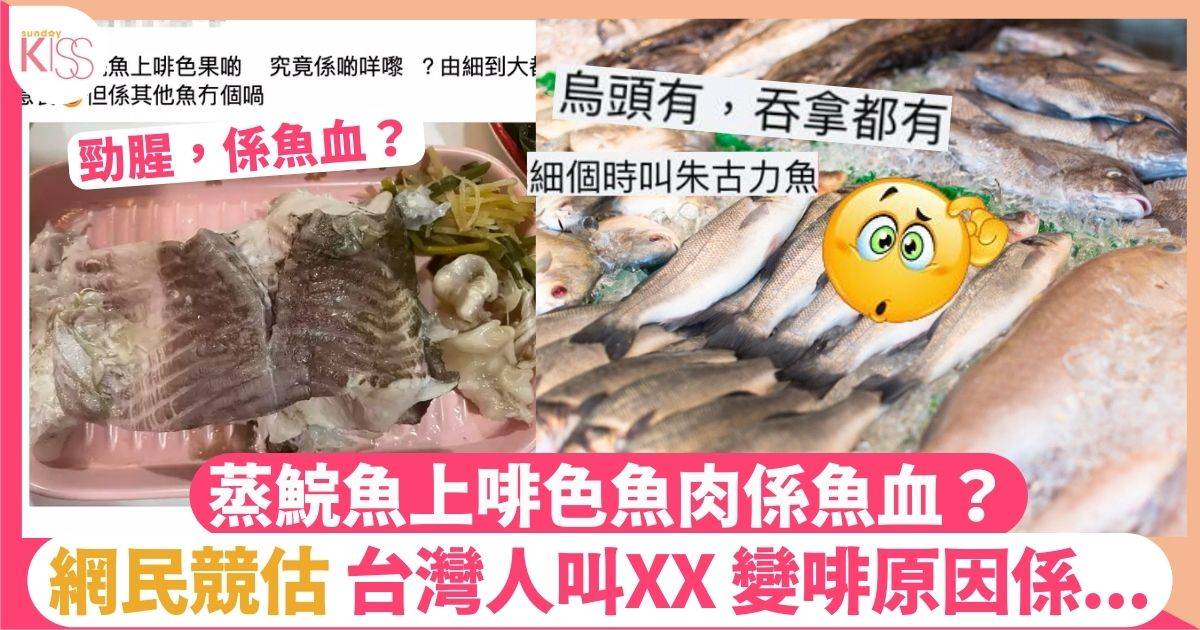 鯇魚上啡色魚肉係魚血? 網民競估成 創意無限改名：朱古力肉