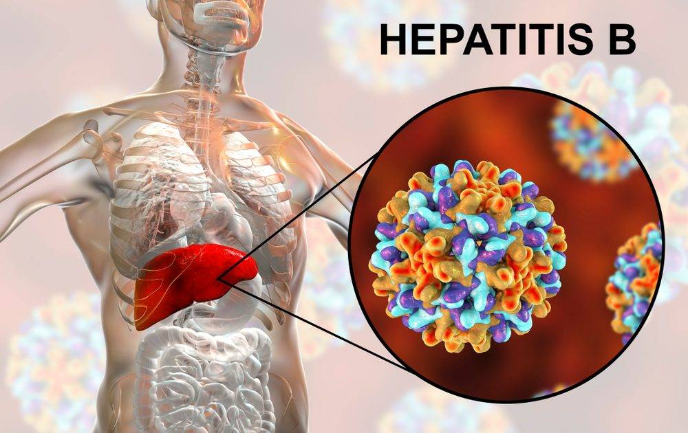 乙型肝炎｜必須知道的傳染途徑、症狀和預防方法