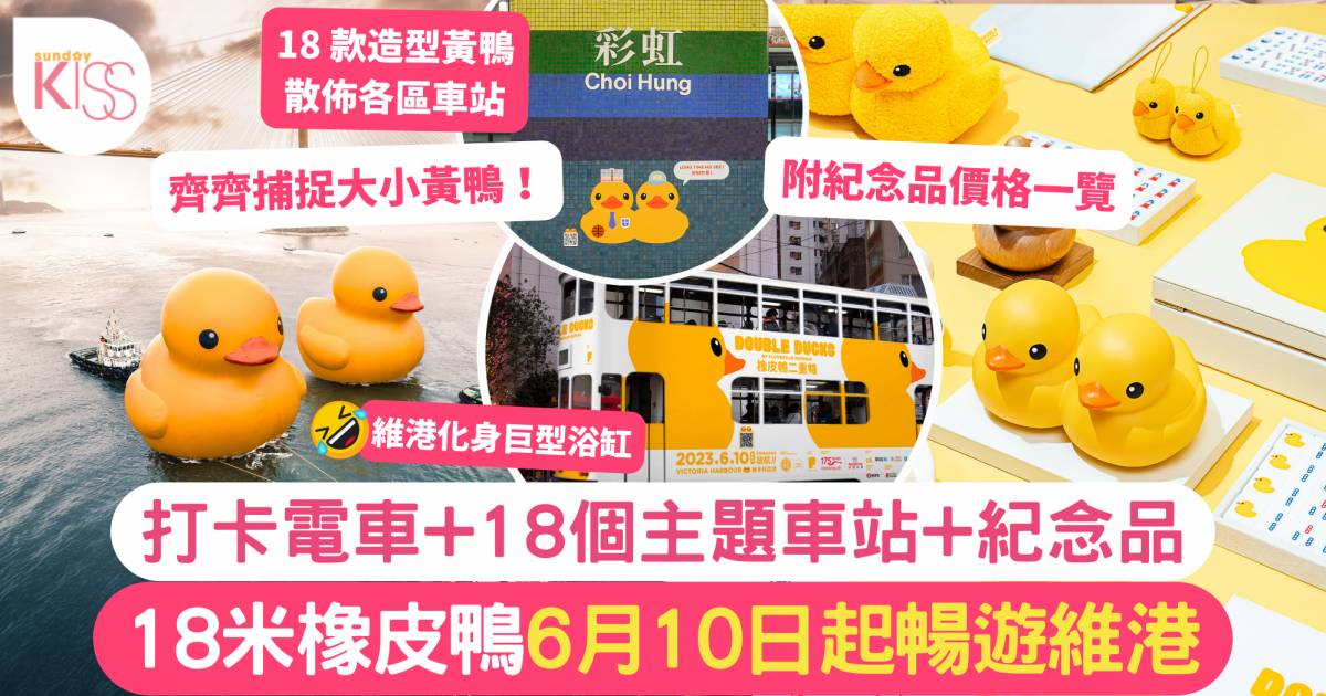 黃鴨2023｜香港巨型黃鴨6.10起暢遊維港！18個港鐵車站打卡位+紀念品訂購