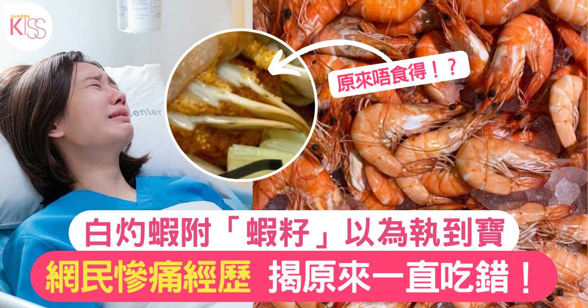白灼蝦有大量「橙色蝦籽」以為執到寶 網民警告亂吃隨時入院：插喉補命　