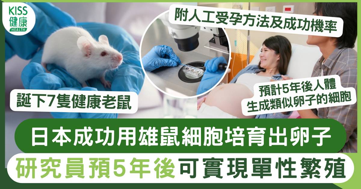 體外生殖｜人工受孕突破！日本用細胞培育出老鼠 無性繁殖5年内可實現！