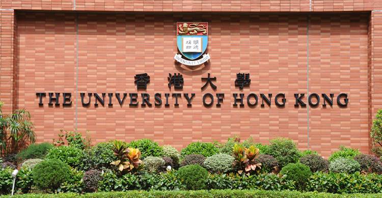  港島打邊爐 子宮肌瘤 症狀 blackpink 白金漢宮 香港大學排名 香港大學排名2023