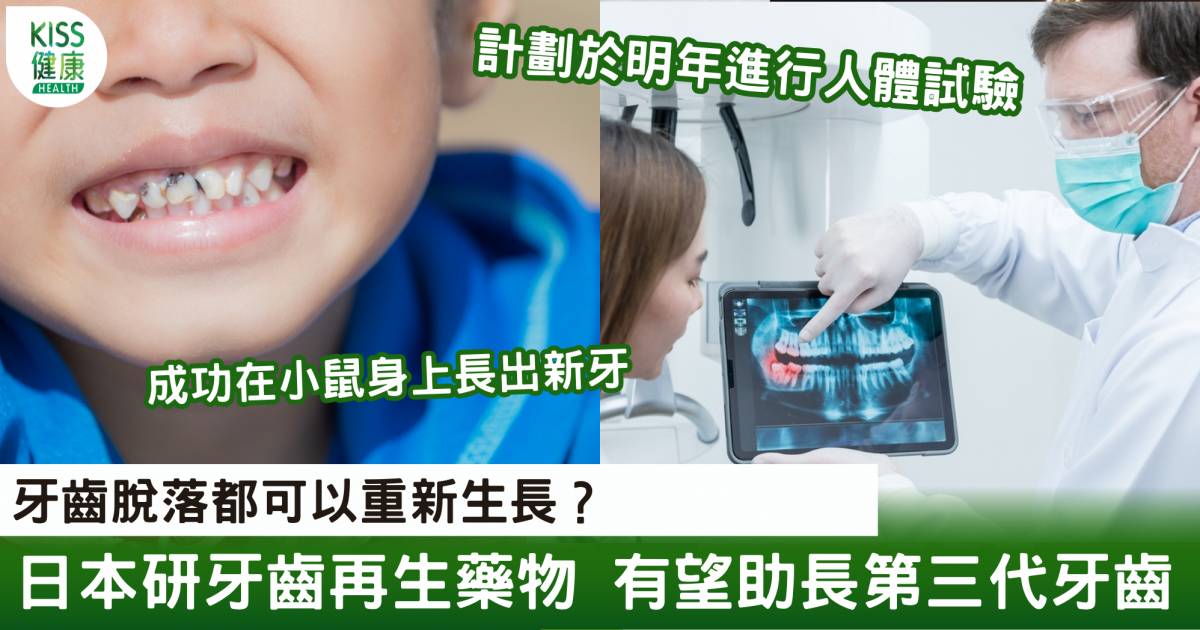 日本研牙齒再生藥物 2024年進行人體試驗 有望為人類長出第三代牙齒