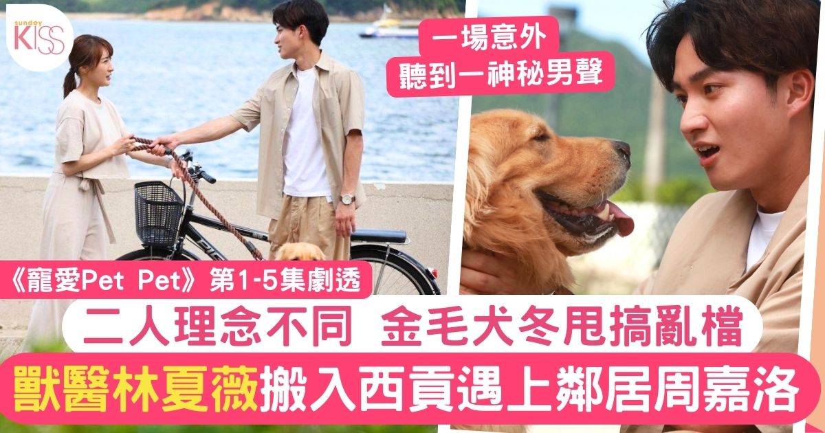 寵愛Pet Pet劇情｜第1-5集劇透：獸醫林夏薇遇上鄰居周嘉洛