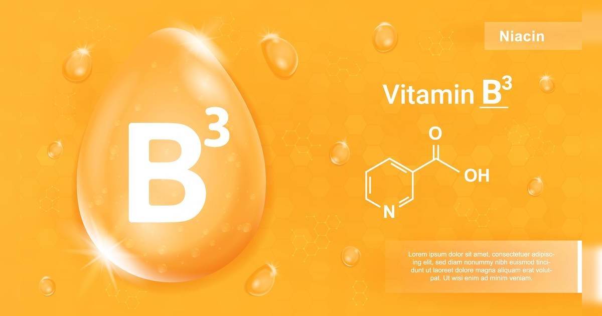 維生素B3功效｜一文了解維他命B3重要性、攝取量與食物來源