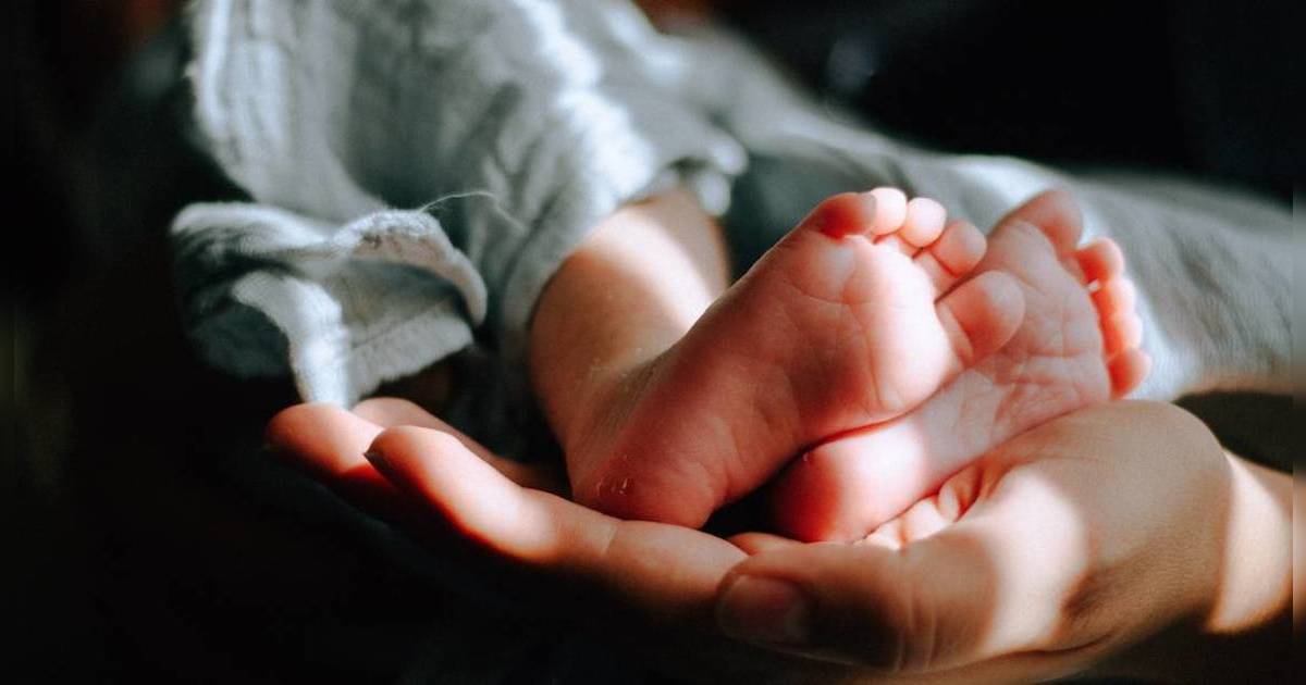 施政報告2023生育｜新生嬰兒$2萬派錢津貼！父母一方為永久居民即有錢收
