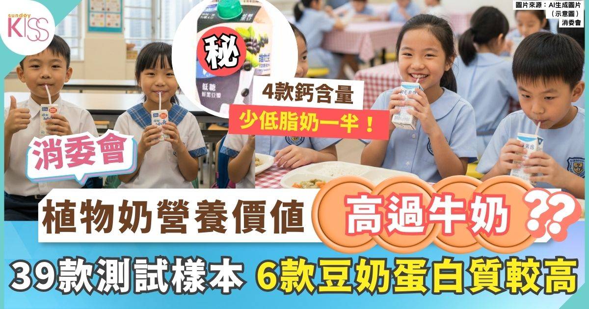 消委會植物奶｜125杯椰子奶鈣含量等同1杯低脂奶 6款豆奶蛋白質可媲美牛奶