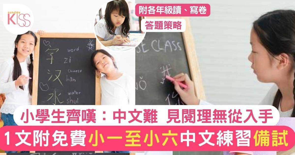 小學中文被港生稱「好難」掌握各級小學答題技巧