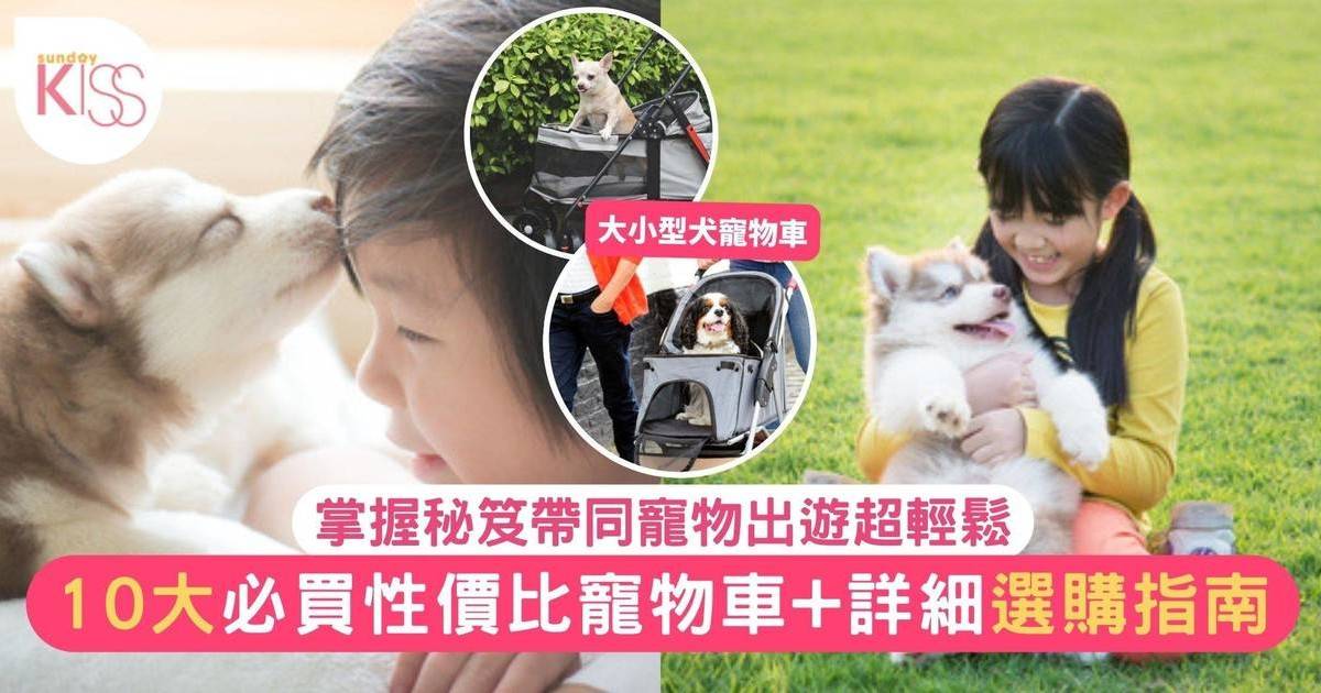 寵物車推薦2024｜10大性價比最高大小型犬寵物車+選購全指南