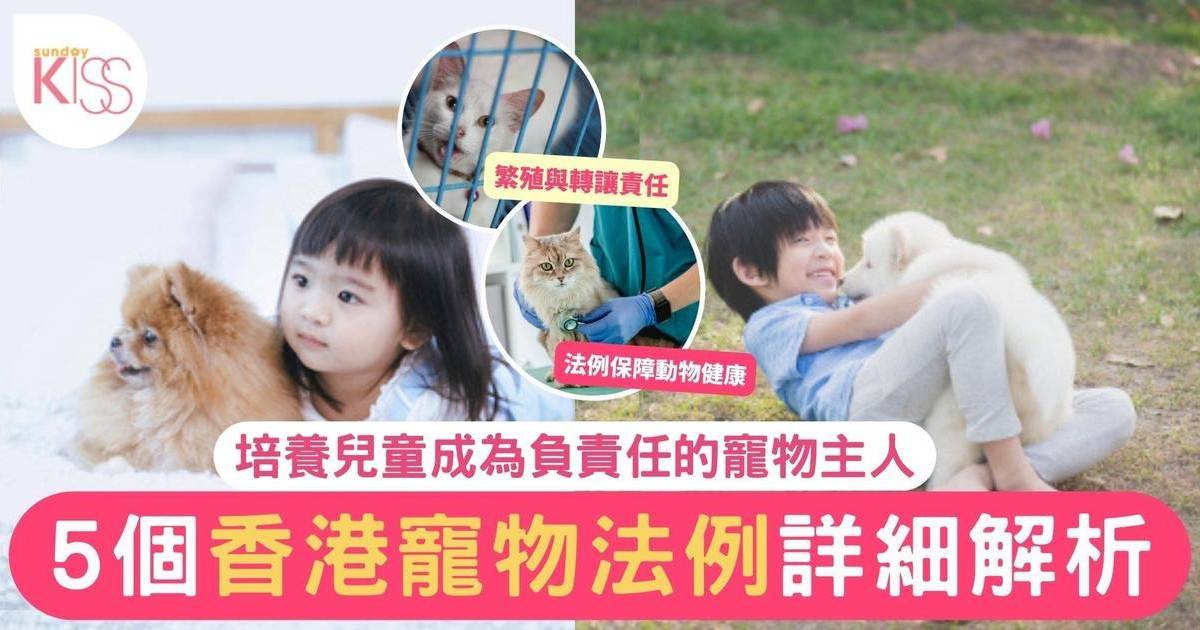 香港寵物法例全解析：培養兒童成為負責任的寵物主人