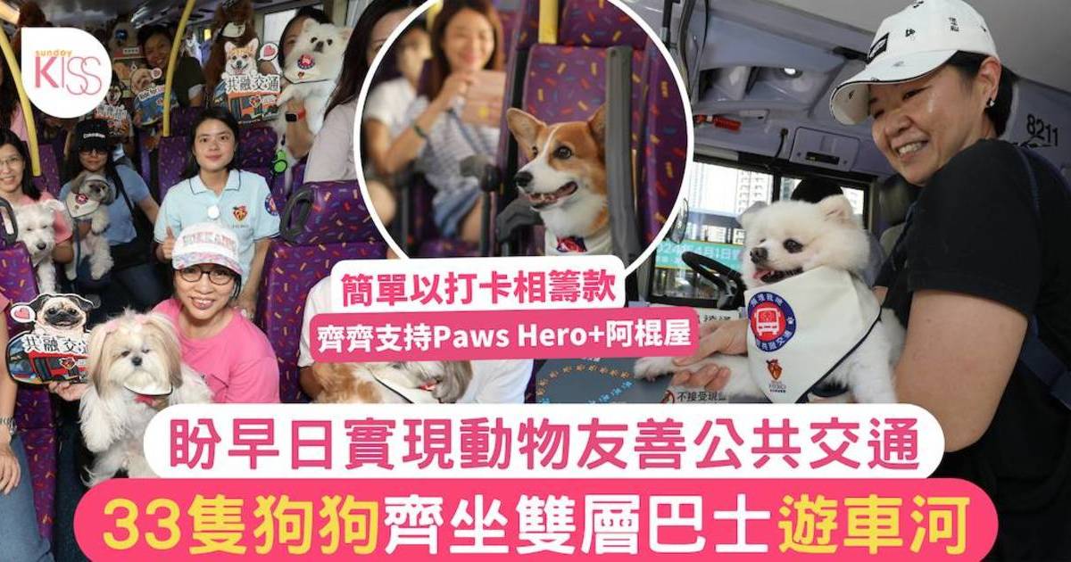 寵物友善｜33隻狗狗齊坐巴士遊車河 盼早日實現動物友善交通