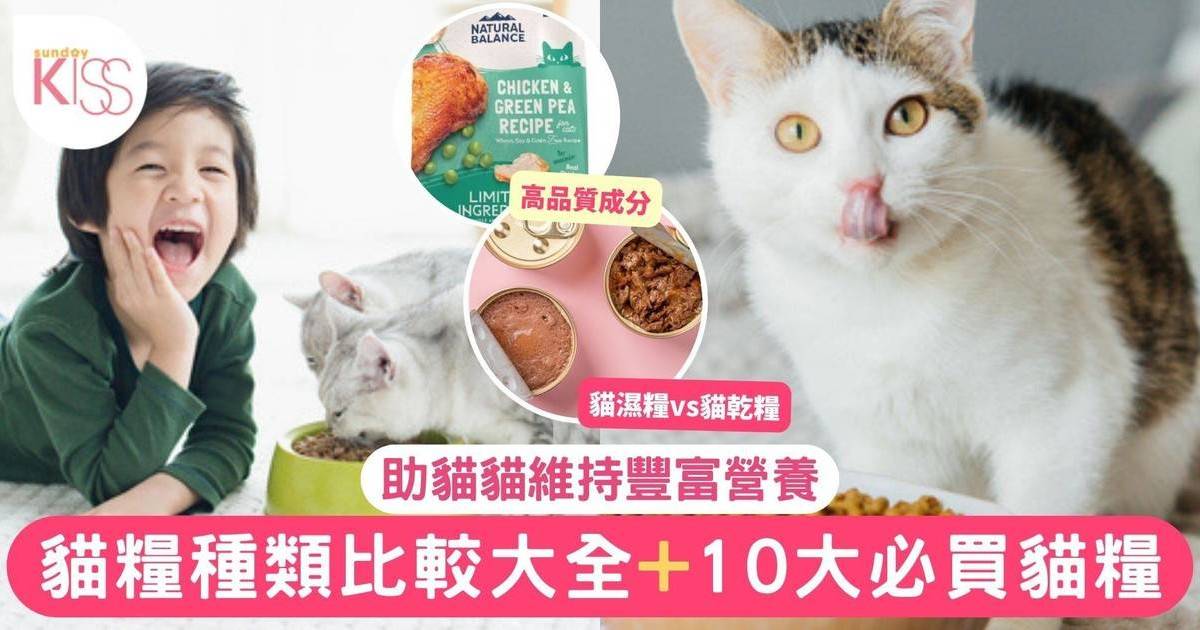 貓糧推薦｜貓糧種類比較+10大必買貓糧 助貓貓保持營養豐富