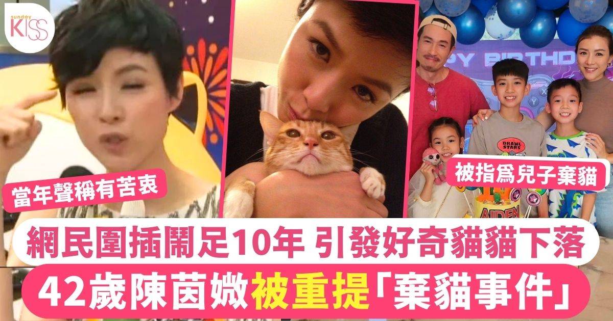 42歲陳茵媺被重提「棄貓事件」網民鬧足10年引發好奇貓貓下落