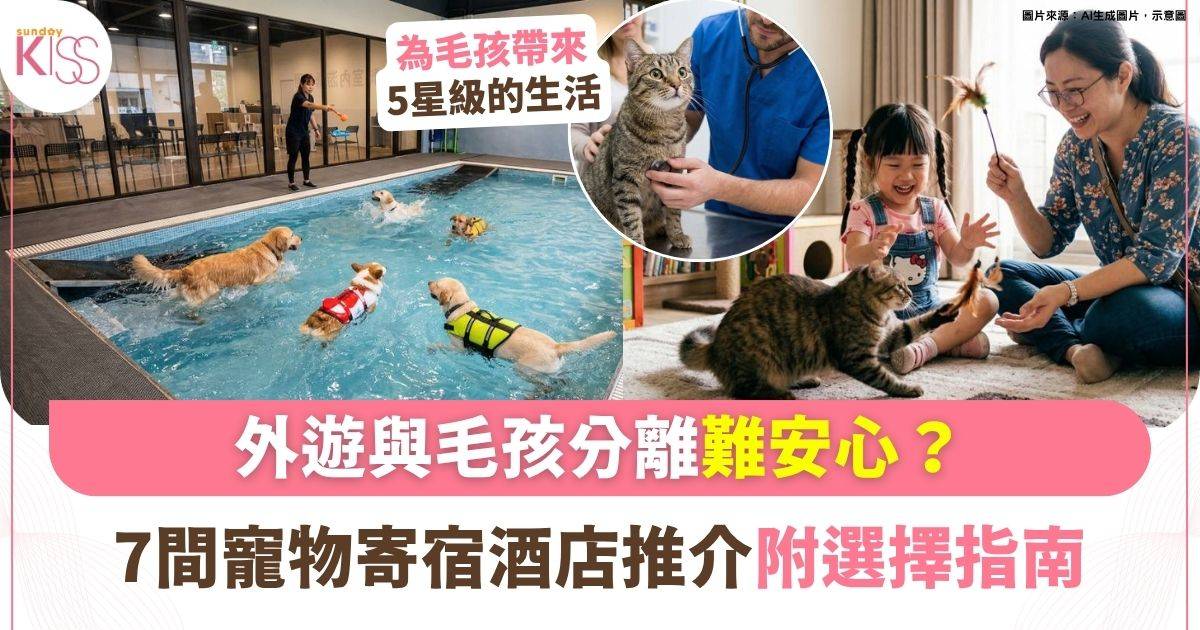 7間寵物寄宿酒店推介+選擇攻略大全 為寵物提供舒適環境