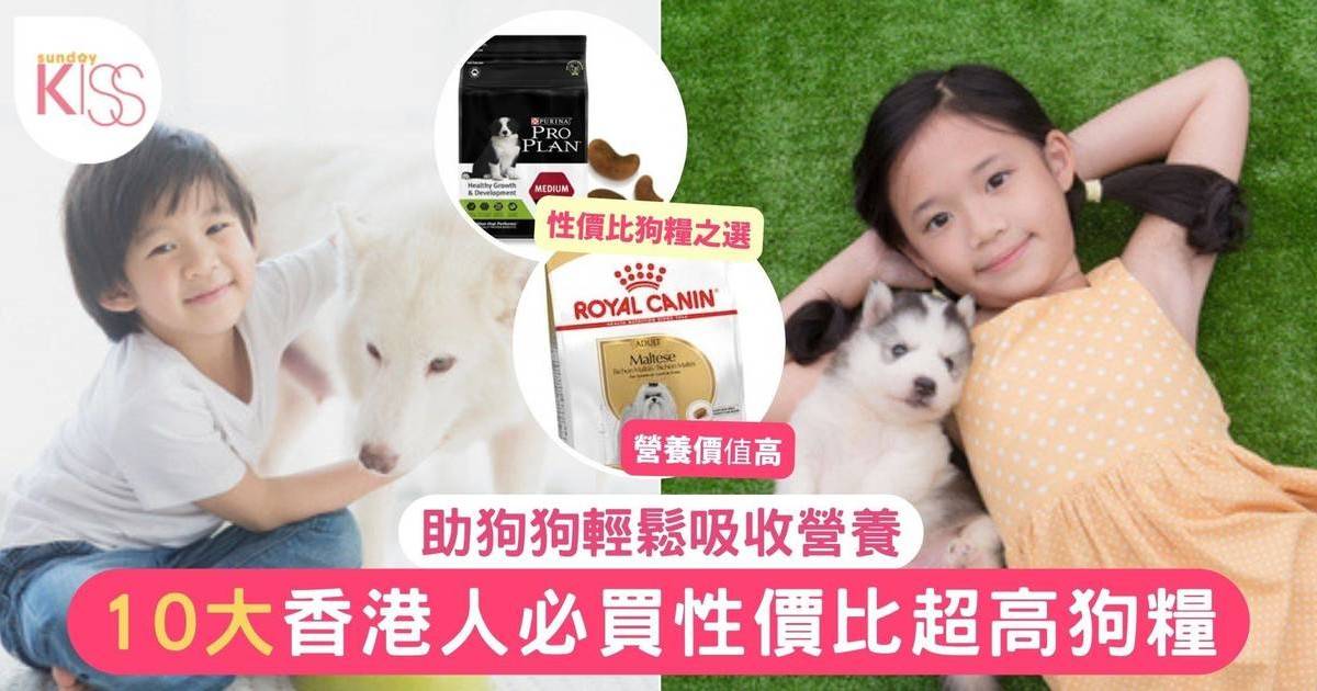 狗糧推薦2024｜10大香港狗飼料排名 必買人氣品牌評比 附選購指南