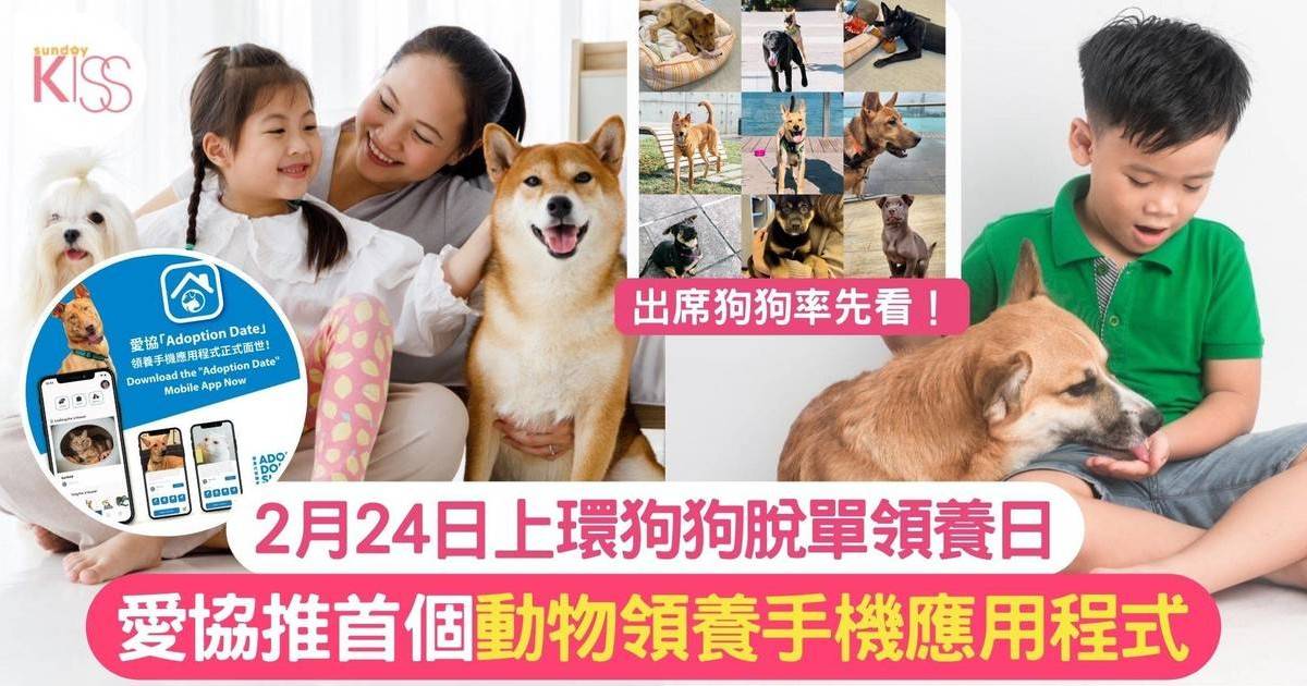 愛協推首個動物領養手機應用程式+2月24日上環狗狗脫單日