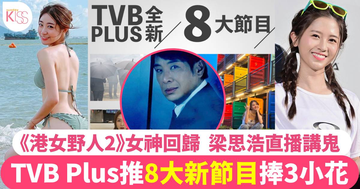TVB Plus 82台 節目表｜8大新節目 黃紫恩、倪嘉雯、林映暉繼續獲力捧