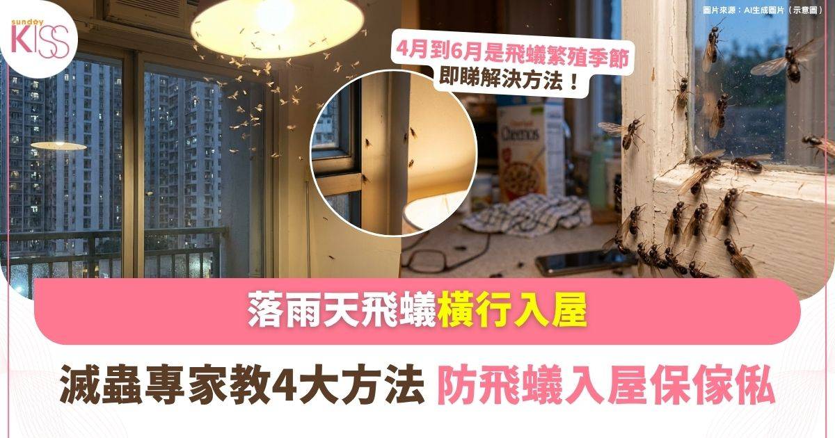 飛蟻｜連落9日雨 飛蟻橫行 網民表示飛蟻入屋 4大DIY方法防飛蟻入屋