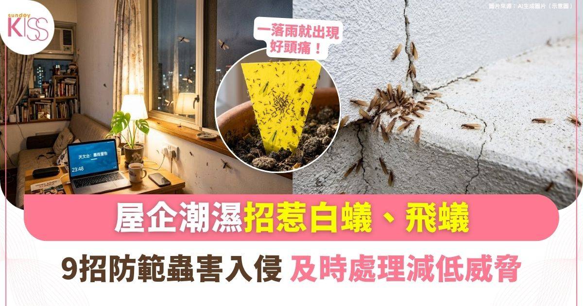 潮濕季蟲蟲危機全破解 | 專家教你徹底消滅白蟻、飛蟻、大水蟻
