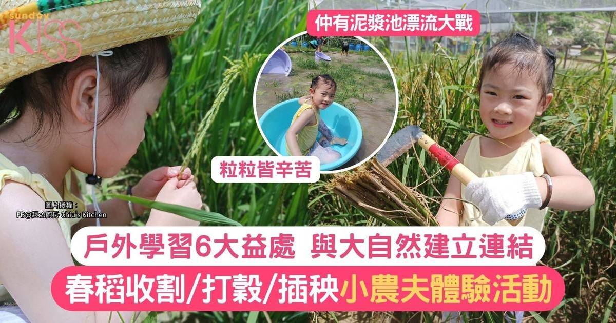 暑期活動2024｜7月春收/插秧小農夫體驗活動+戶外學習6大益處