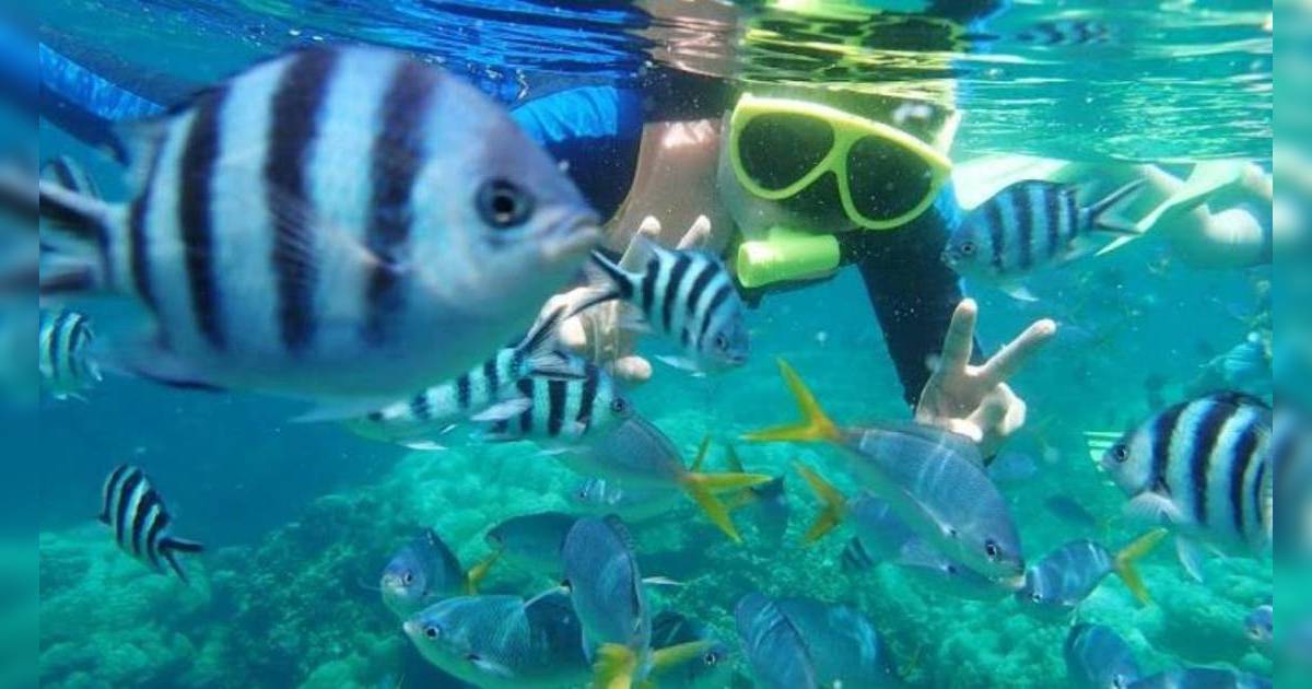 夏日 水上活動