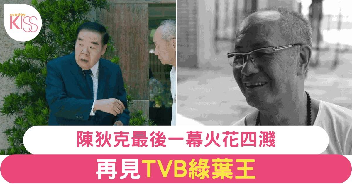 TVB綠葉王陳狄克離世 眾星哀悼影視巨星最後身影震撼全場