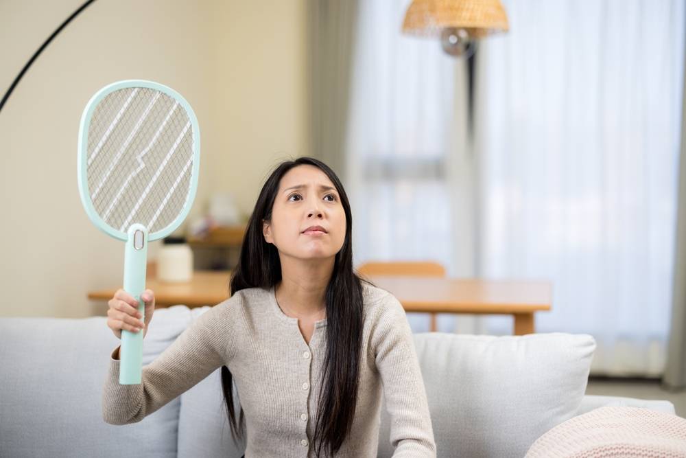 蛾蚋 (圖片來源:Shutterstock)