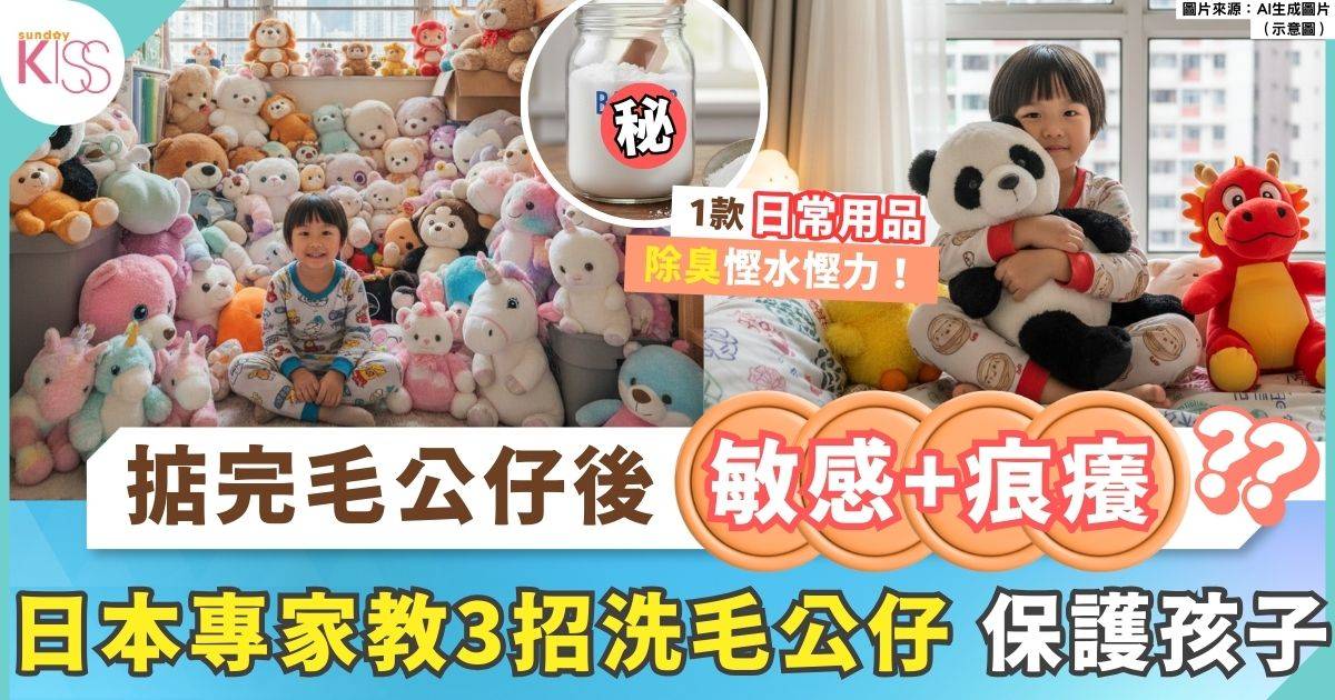 毛公仔清潔｜日本專家教3招洗毛公仔技巧 一物除臭省水省力