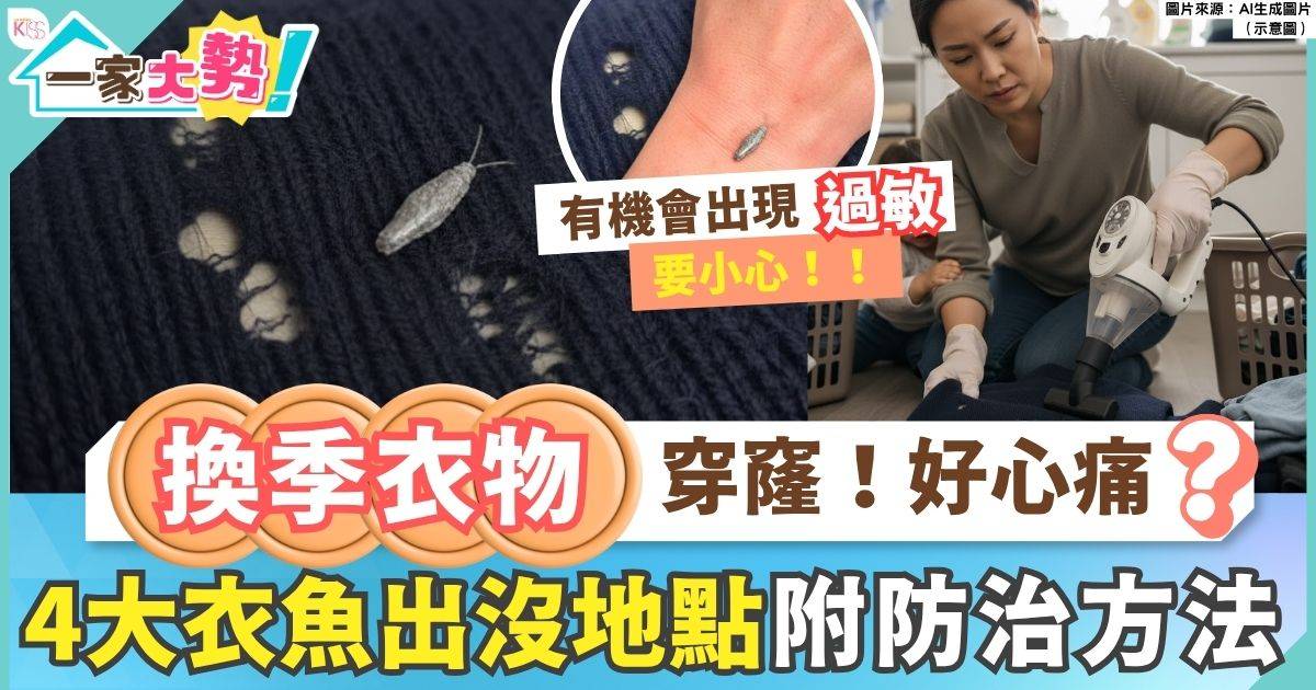 換季衣物穿窿？一文看清衣魚特徵+出沒角落+4防治方法