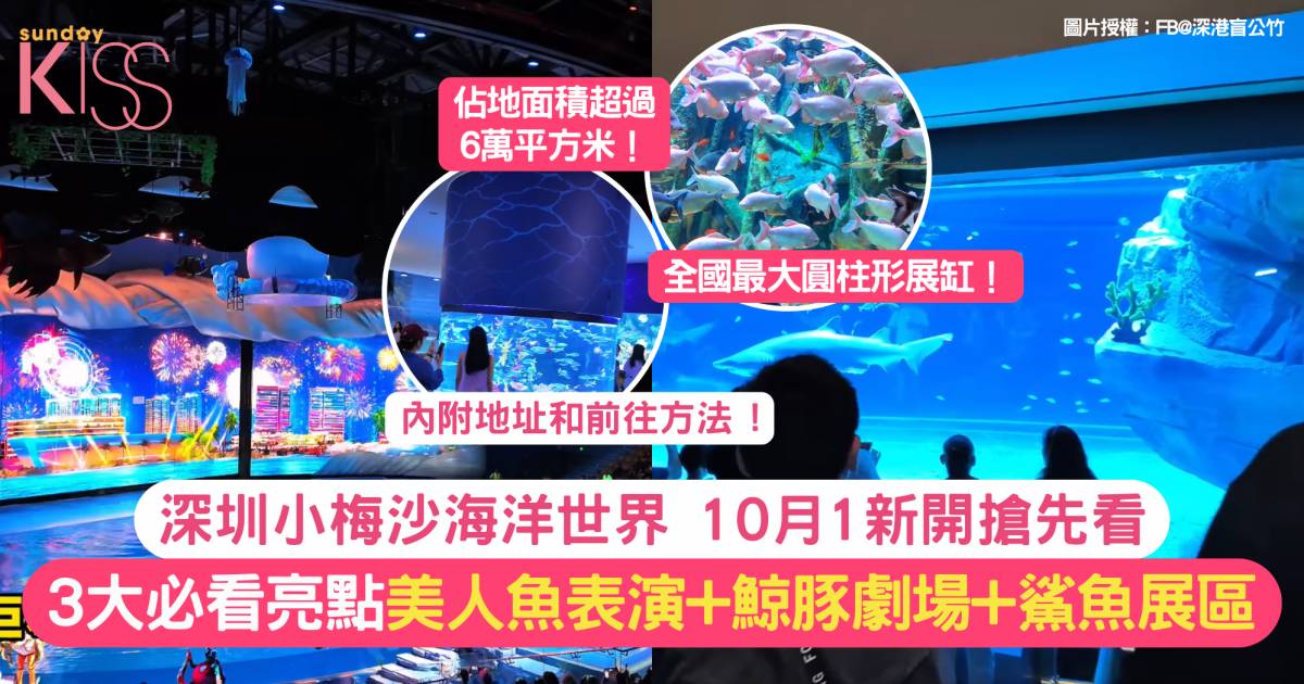 深圳最大海洋主題公園10月1開幕