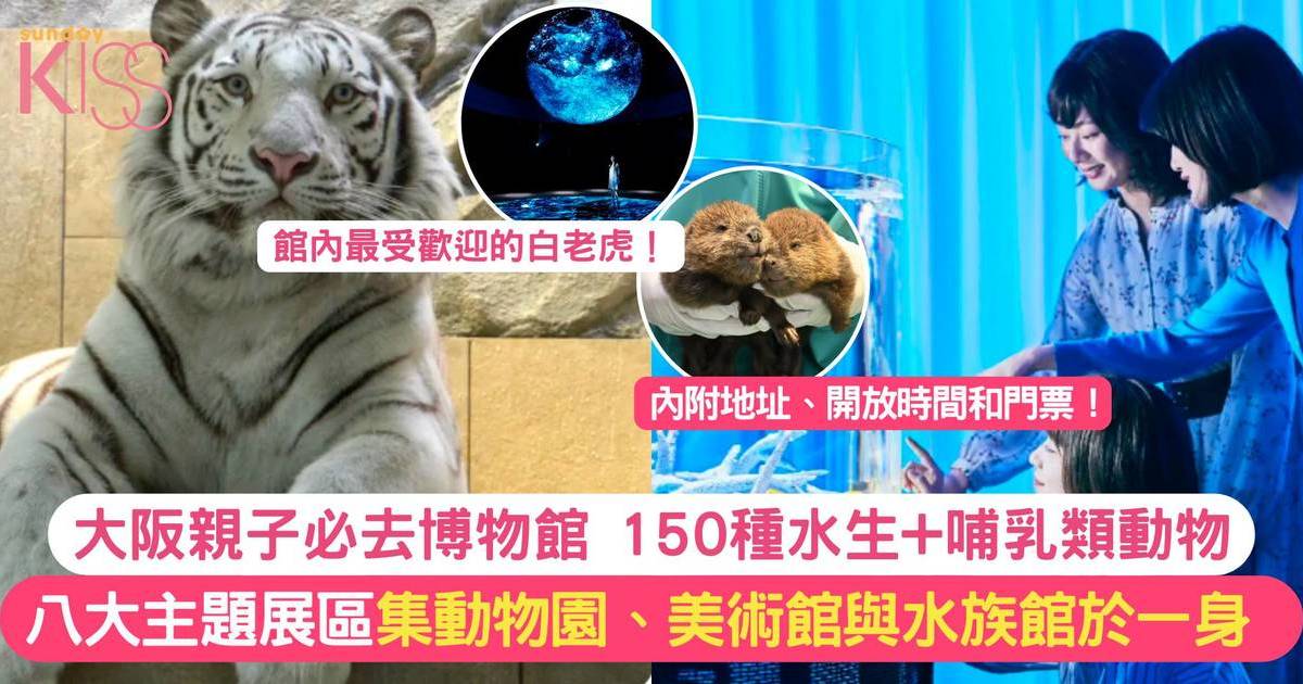 大阪NIFREL博物館 | 設八大主題展區 集動物園、美術館與水族館於一身