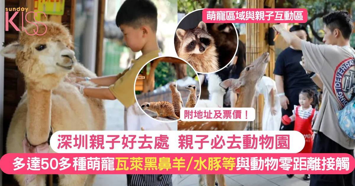 深圳親子好去處 | 深圳動物園 多達50多種萌寵 與動物零距離接觸