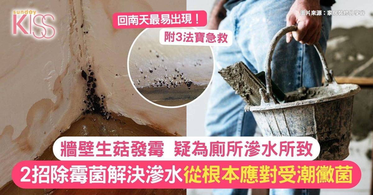 房間牆壁生菇發霉疑為廁所滲水所致！2大除霉菌方法解決滲水問題