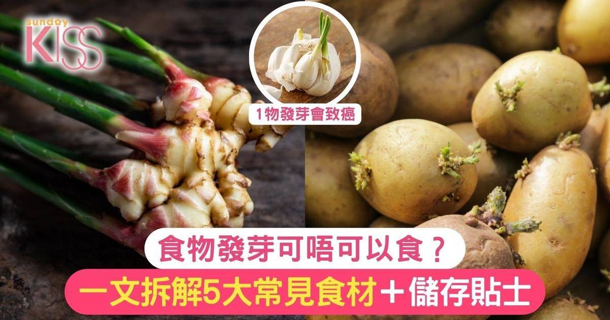 食物發芽可唔可以食？一文拆解5大常見食材＋儲存貼士