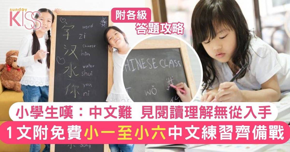 中文考試｜小學中文被港生稱「好難」掌握各級小學答題技巧