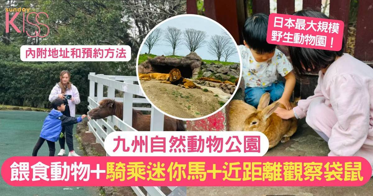 九州親子遊 | 九州自然動物公園 親手餵食動物+騎乘迷你馬+近距離觀察袋鼠