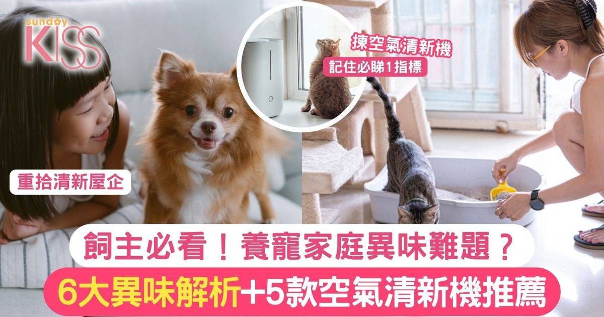 飼主必看！養寵家庭異味難題？6大異味解析+5款空氣清新機推薦