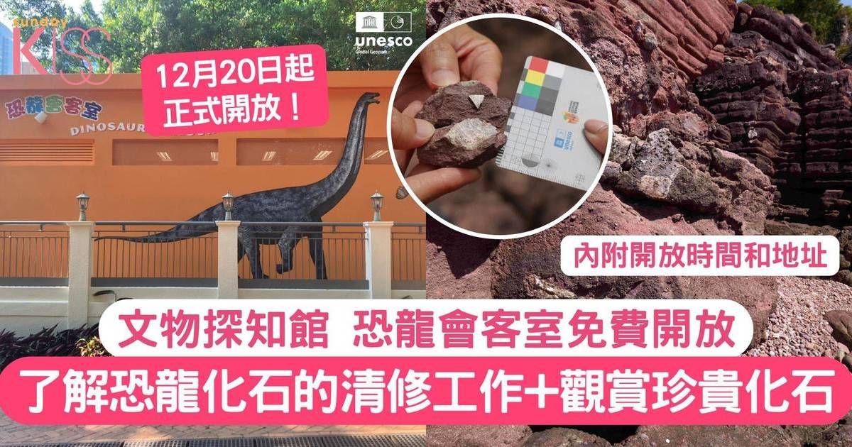 恐龍會客室免費開放 | 香港文物探知館 了解恐龍化石的清修工作