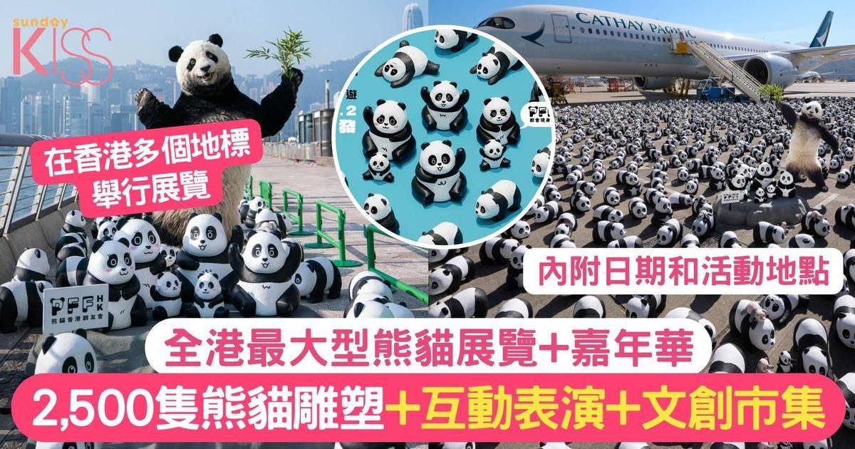 PANDA GO 香港遊