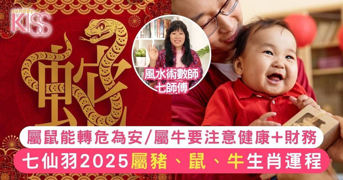 七仙羽 2025生肖運程｜乙已蛇年 屬豬、鼠、牛生肖運程