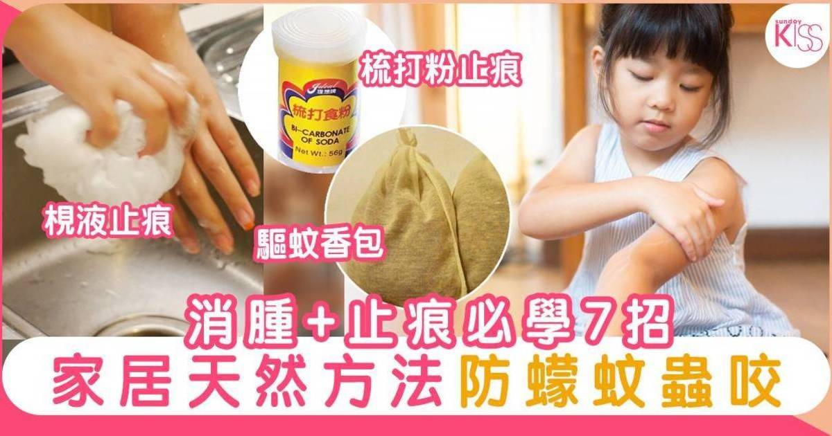 蠓咬消腫 止痕必學7招   家居防蠓蚊蟲咬