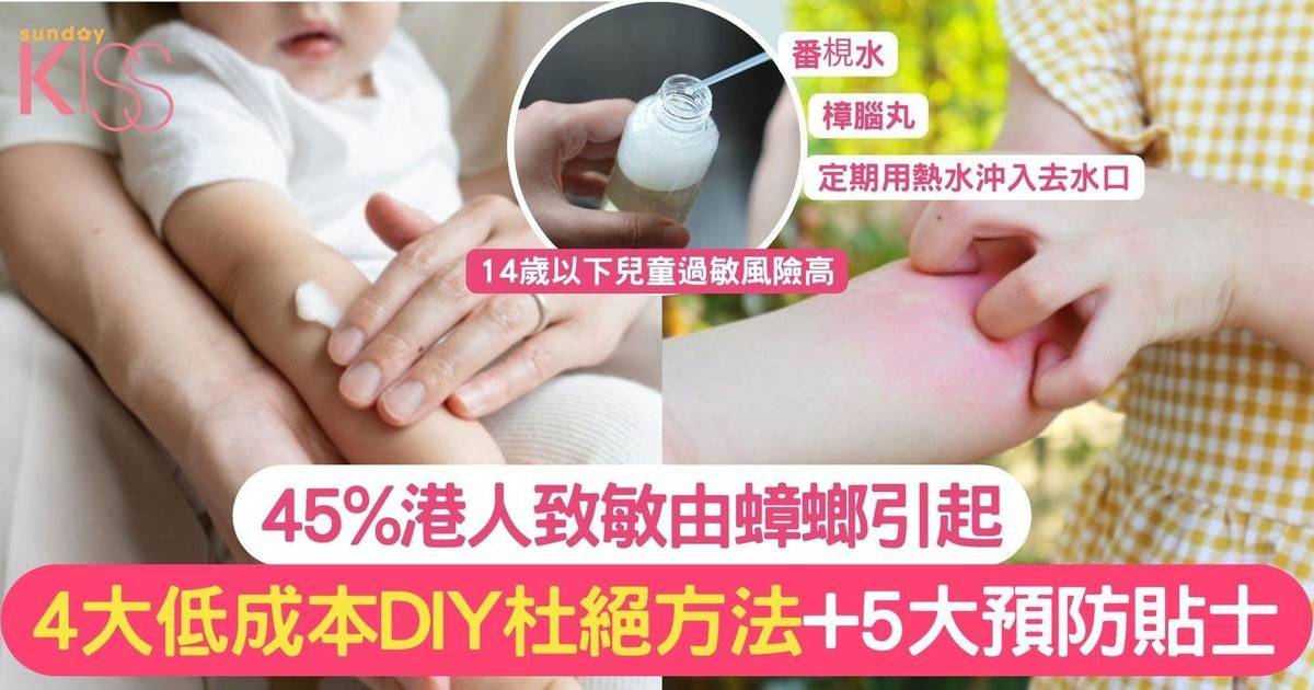 港人致敏45%曱甴引起 4大DIY方法杜絕蟑螂