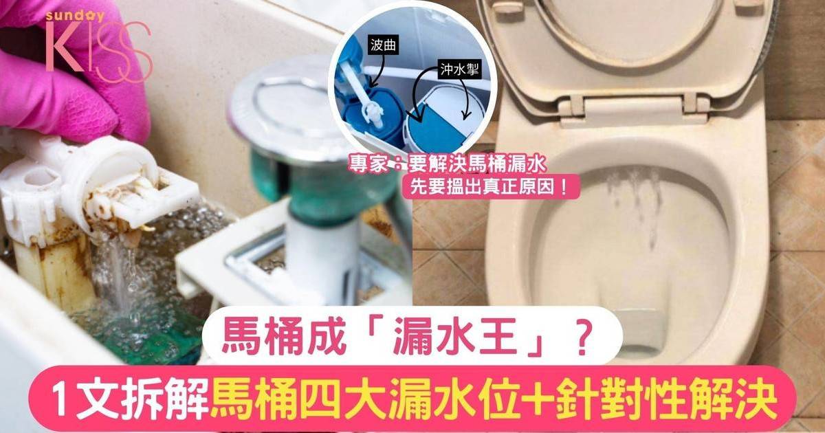 馬桶漏水｜馬桶成「漏水王」？1文拆解 馬桶四大漏水位+針對性解決