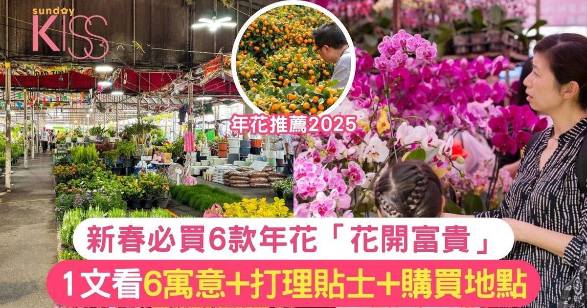 年花2025｜新春必買6款年花 1文看6寓意+打理貼士+購買地點